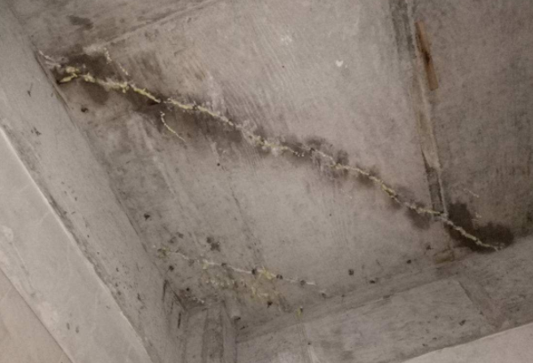 樓上滲水和外墻滲水區(qū)別 樓上滲水和外墻滲水區(qū)別