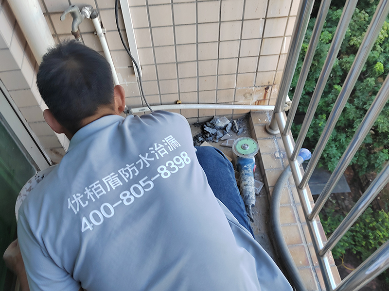 微信圖片_2024111414361拷貝.jpg